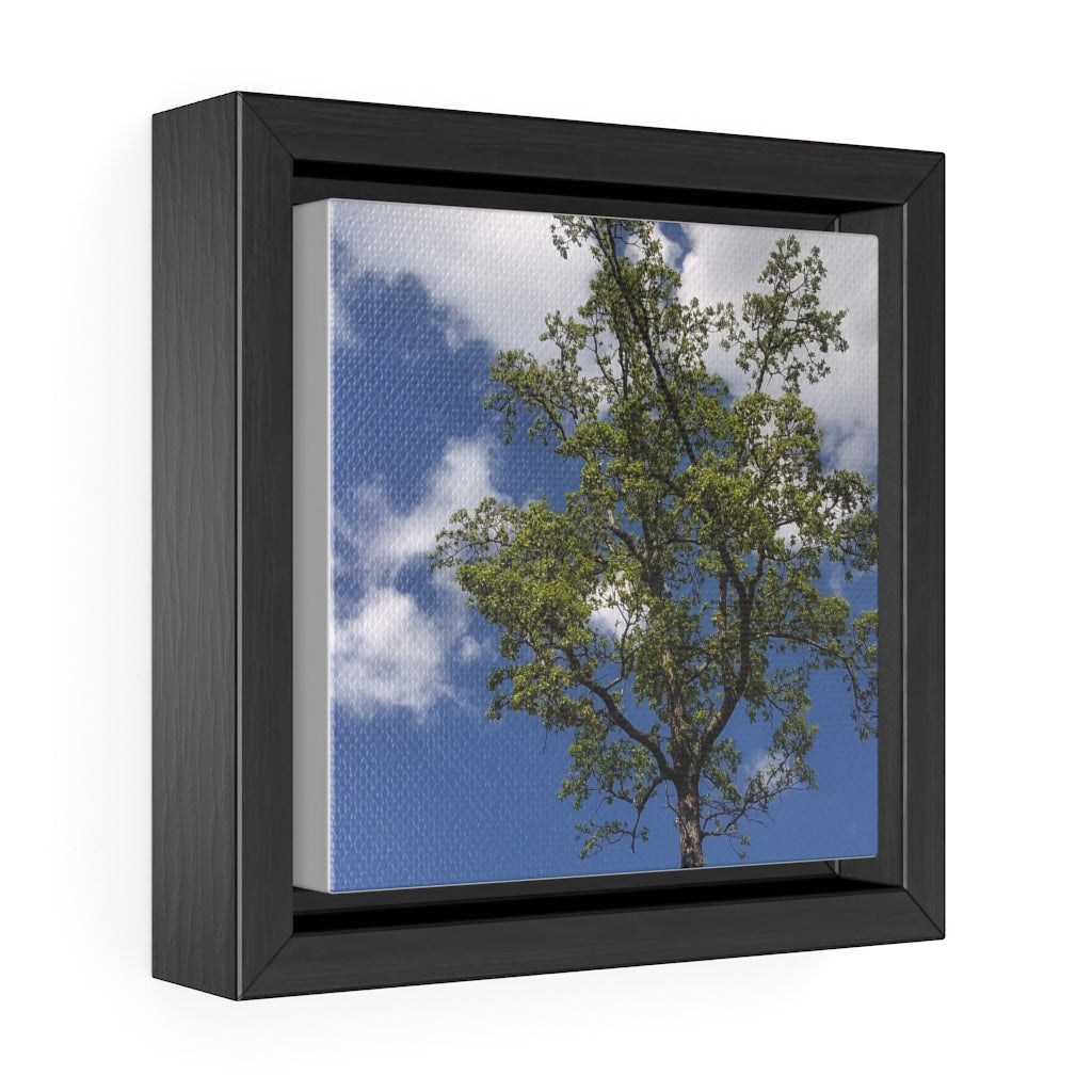 “2:22pm”.  …..Gallery Canvas Wraps, Square Frame